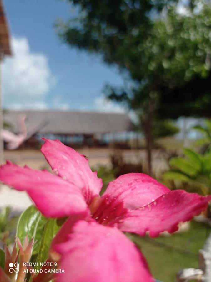 Pousada E Restaurante Do Francisco Icapuí Zewnętrze zdjęcie
